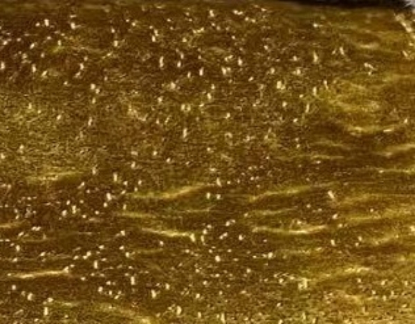Picture of ALL OVER VELVET MIDAS